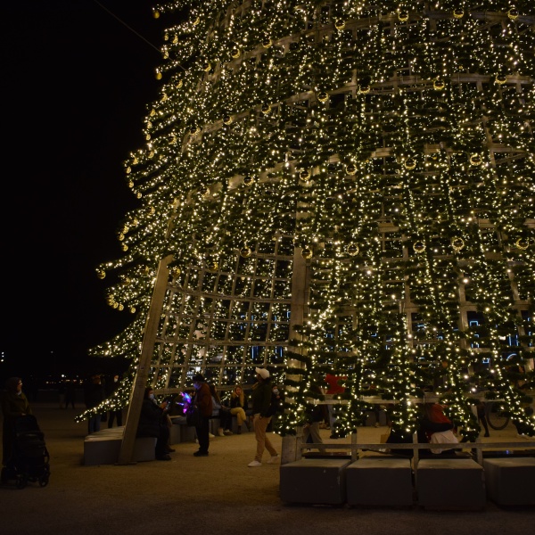 Pinheiro Clássico com 30 metros, preenchido com estames e iluminado com luz branco quente s